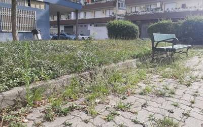 EH Bildu: "Abadiñoko kale garbiketarekin arazo bat daukagu"