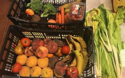 Baztango Udalak elikagaien xahuketa murrizteko ekimena abiatu du