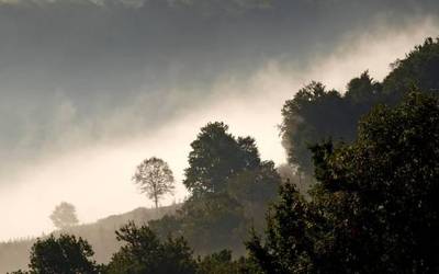 Bueltan da hezetasuna