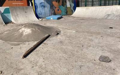 Skate gunea negargarri