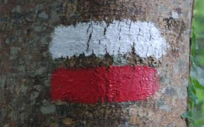 Mendizaletasunaren alfonbra gorria