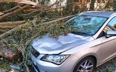Arazo ugari eragin ditu haizeak Gasteizen