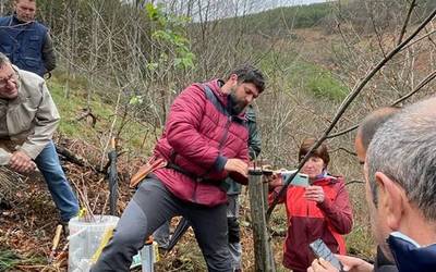 Emankorra eta jendetsua gaztainondoei buruz urriaren 14an egindako mintegia