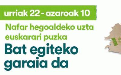 ZOZKETA: Errigorako saski bi