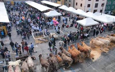 Gaur zortzi egingo da XXVI. Gaztañerre azoka