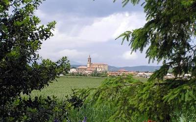 Burgu