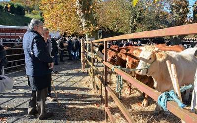Doneztebeko feria egunerako ia dena prest du udalak
