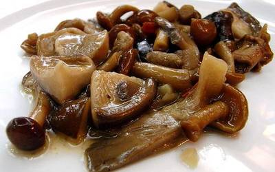 Mikologiaren inguruko Aste Gastronomikoa antolatu du estreinakoz Aizu Ostalarien Elkarteak