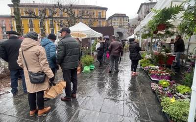 Fruta arbolak, landareak, loreak, haziak eta landare apaingarriak Zuhaitz Azokan