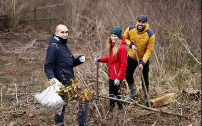 Bertako 500 zuhaitz espezie landatuko dituzte otsailaren 25ean Muskiritzuko hegalean dauden lurretan