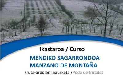 Sagarrondoen inguruko ikastaroak eginen dituzte Mendialdean