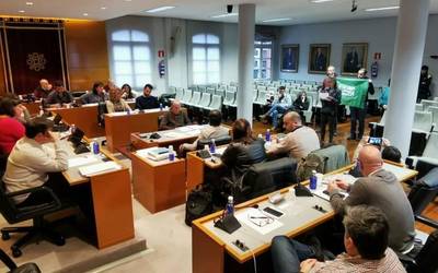 Tartanga Berdeak ez du parte hartu EAJk, PSEk eta Podemosek herri-ekimenari buruz aurkeztutako mozioan