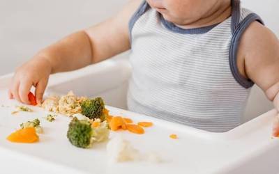 BLW metodoaren inguruko ikastaroa eginen dute otsailaren 28an Leitzan