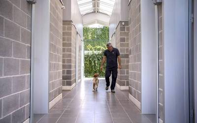 108 txakur eta katu eman dituzte adopzioan Iruñeko Animaliak Artatzeko Zentroan