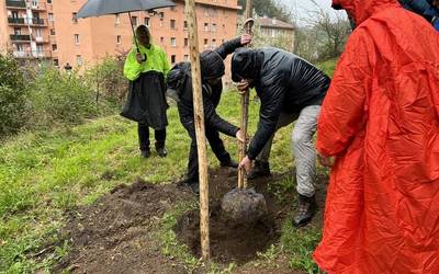 Aiherrak eta Antzuolak senidetzaren haritza landatu dute