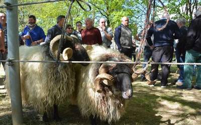 Aro bustiarekin bainan giro onarekin iragan da Baztango Udaberriko Feria