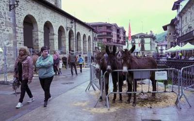 San Isidro egun betea izan dute antzuolarrek