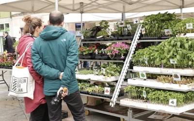 Loreak eta ortuko landareak izango dira berezitasun bertako produktuen azokan