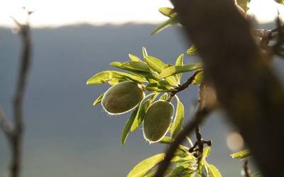 Udaberria, bueltan