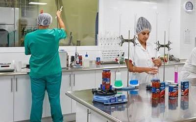 Inlemaz enpresan 12 eguneko greba egiten ari dira