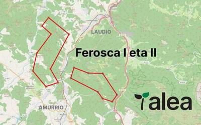 Aiaraldean beste bi parke eoliko egiteko baimena eskatu dute