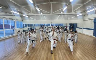 Karate erakustaldia