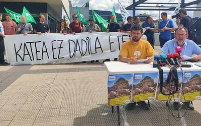 Elikadura Katearen Legea ez betetzeagatik ardi latxaren sektorea krisian dagoela ohartarazi du EHNEk