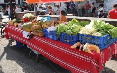 Landa Nafarroa Lotu proiektuaren barrenean, sare logistikoa diseinatzeko nekazariek eta eraldatzaileek betetzeko galdetegia prestatu dute