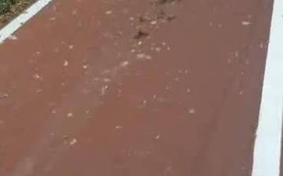 [BIDEOA] Bizipista animalia gorotzekin zikinduta dagoela salatu dute