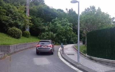 Zuhaitz bat erori da Bidabe Azpia kaleko errepidera