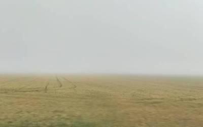 Ekaitzak, eta akaso txingorra ere
