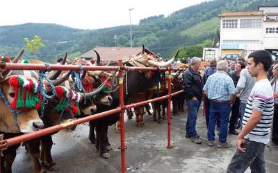 Ganadu azoka izango du aurten Elgetako Ferixa Nagusiak