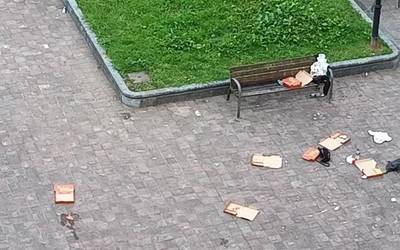 Pizza parkean afaldu eta...