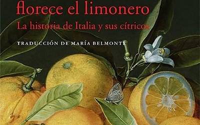Laranja eta limoiak