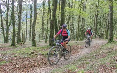 Leitzulia BTT proban izena emateko epea zabalik dago