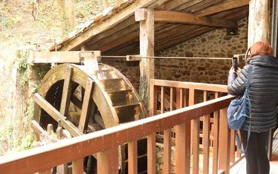 Gatz Museoan bisita gidatu ugari uztail eta abuzturako