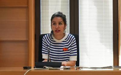 Uda garaia baliatuko dute Laudioko hiru ikastetxe publikotako fatxadak eta sabaiak konpontzeko