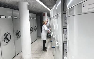 Ihes-gela birtuala Bergarako Udal Artxiboaren eskutik