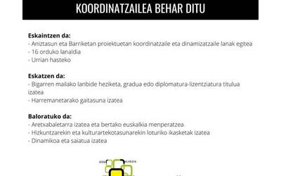 Aniztasun eta Barriketan proiektuetarako koordinatzaile bila