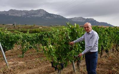 "Arabako Mahastiak blokeatuta dago, baina bide gehiago daude"