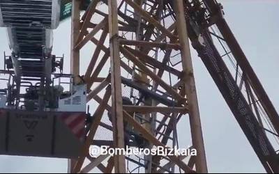 Suhiltzaileek bi langile erreskatatu dituzte garabi batetik, liztor asiarrek eraso egin ostean