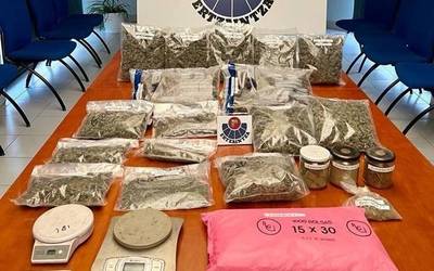 60 marihuana landare atzeman ditu Ertzaintzak Laudion, eta pertsona bat ikerketapean jarri dute