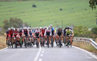 Zufiaurre eta Gomez, Tafallako Top 20an