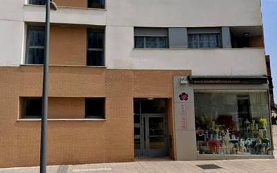 Guardia Zibilak operazio bat abiatu du Zabalganean