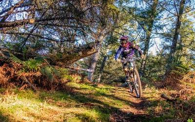 Sustrails Open Enduro BTT zirkuituaren lehen proba egin dute asteburuan Lesakan