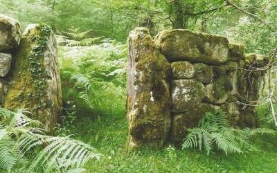 Kirikiñausiak