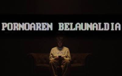 Pornografia belaunaldiaz, Bakartxo Iragi orientatzailearekin