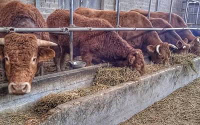 Ekoizpen eredu ekologikoa ezagutzeko bisita izango da igandean