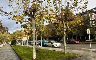Inausteko eta landatzeko irizpideetan aldaketak egingo dituzte