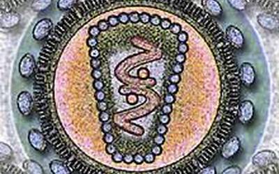 Nafarroako Farmazietan GIBaren test azkarrak egiten